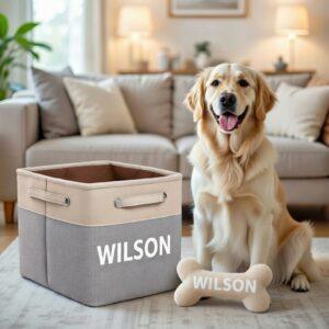 Canvas Dog Toy Box